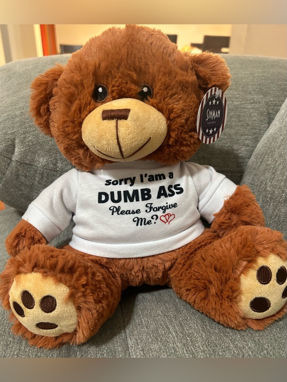 Plush Brown Teddy Bear with White Apology Tee